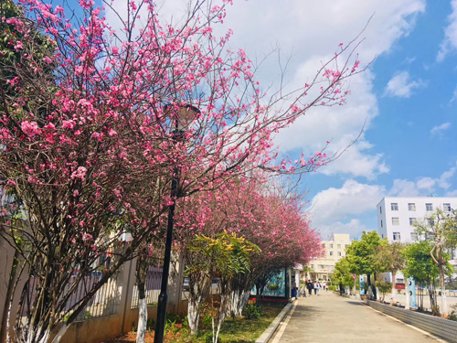 云南国土资源职业学院报考指导