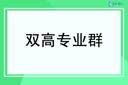 成都纺织高等专科学校双高专业群建设名单一览（1个）