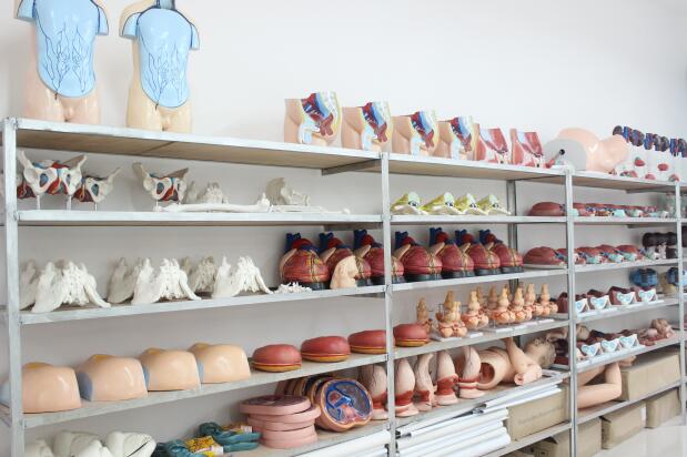 人体标本实训室