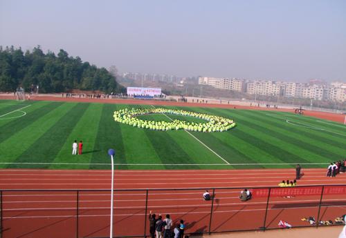 1B4F3715B37EDEE5453D1672C08_B5B3F257_66FA