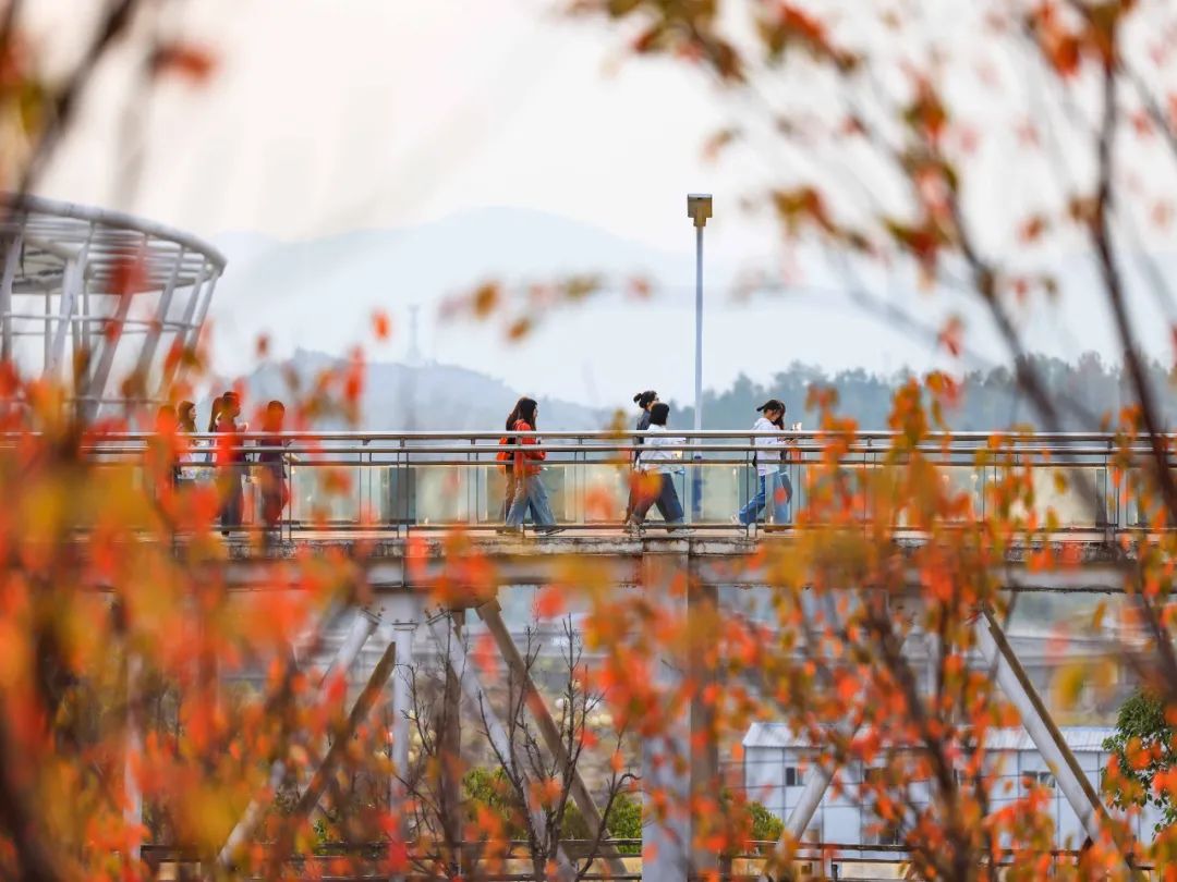 微信图片_20230307153353