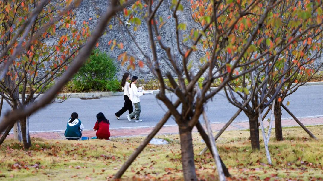 微信图片_20230307153350