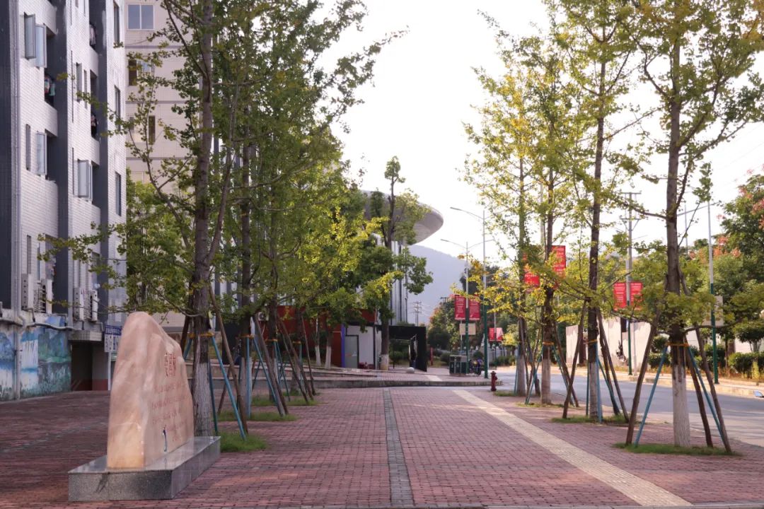 微信图片_20230308104857