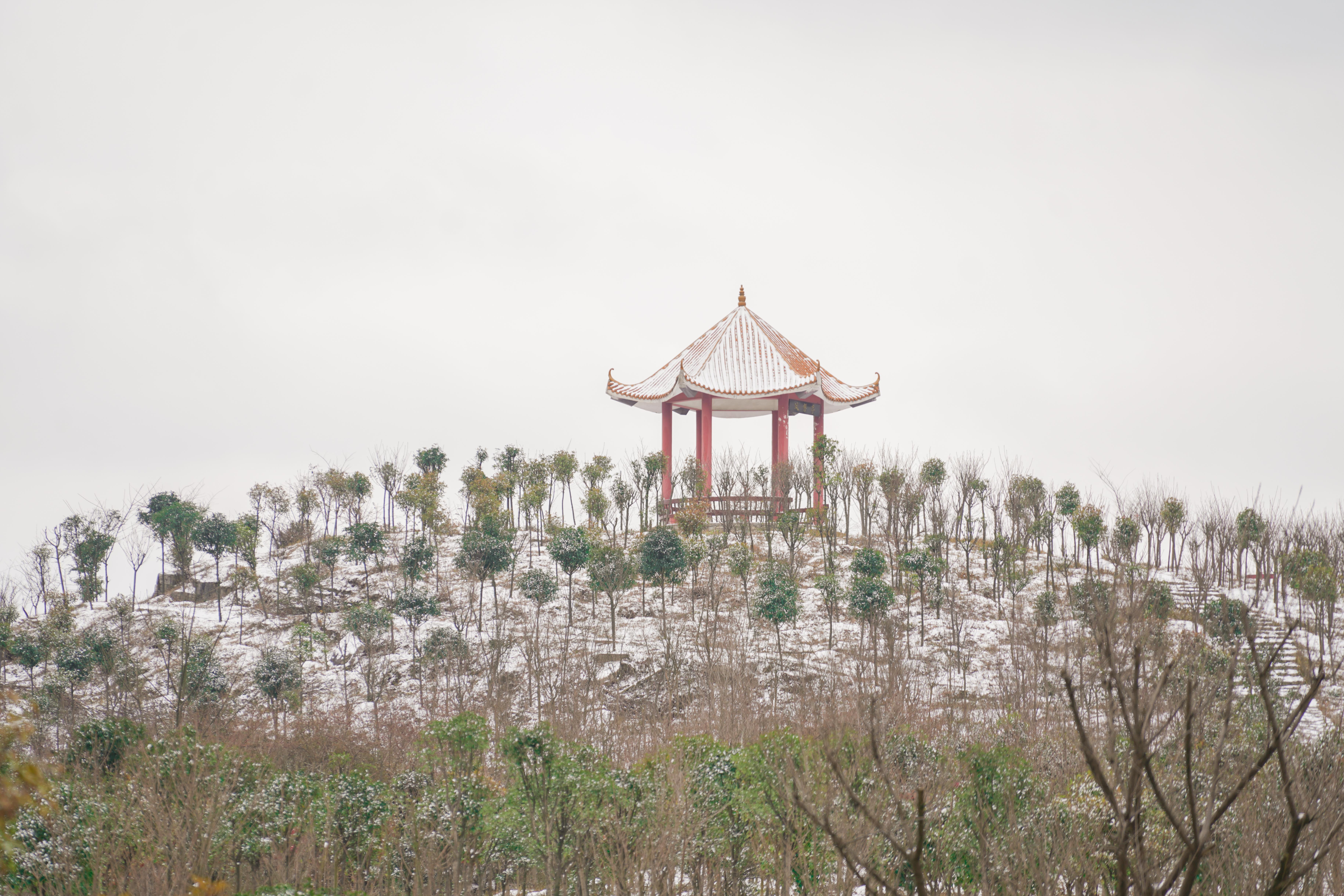 安顺职业技术学院9