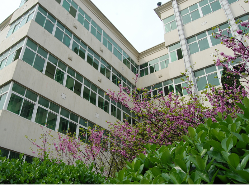 1590959DE73D5F2DDEC69BAA432_4C29552C_994A5