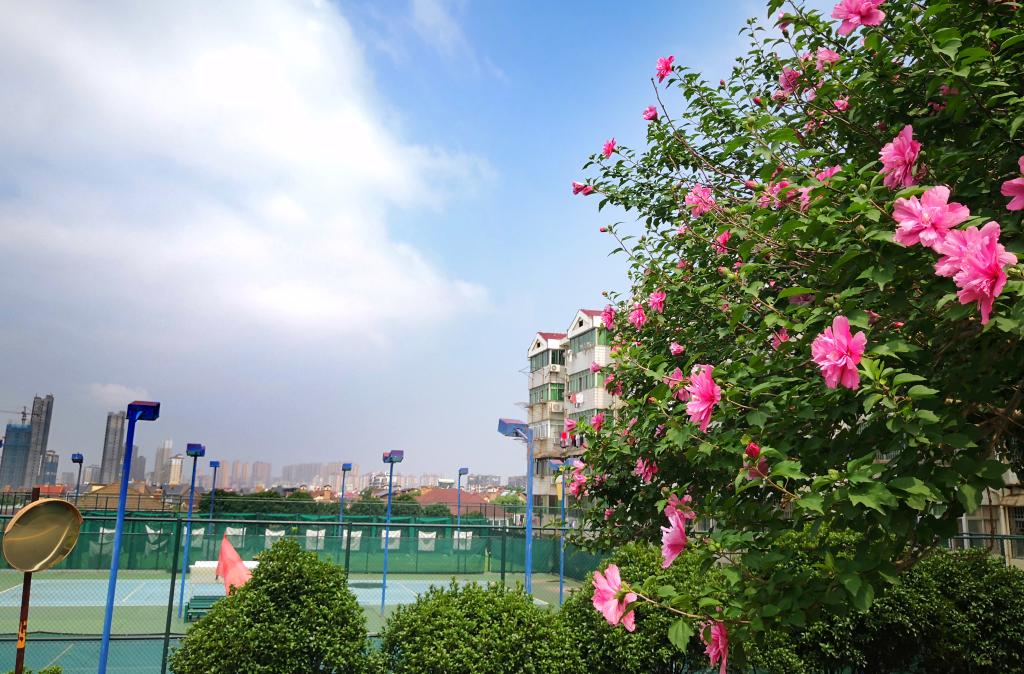 0730464C59E282D1B0BECD4B6E8_7808284A_22EB6