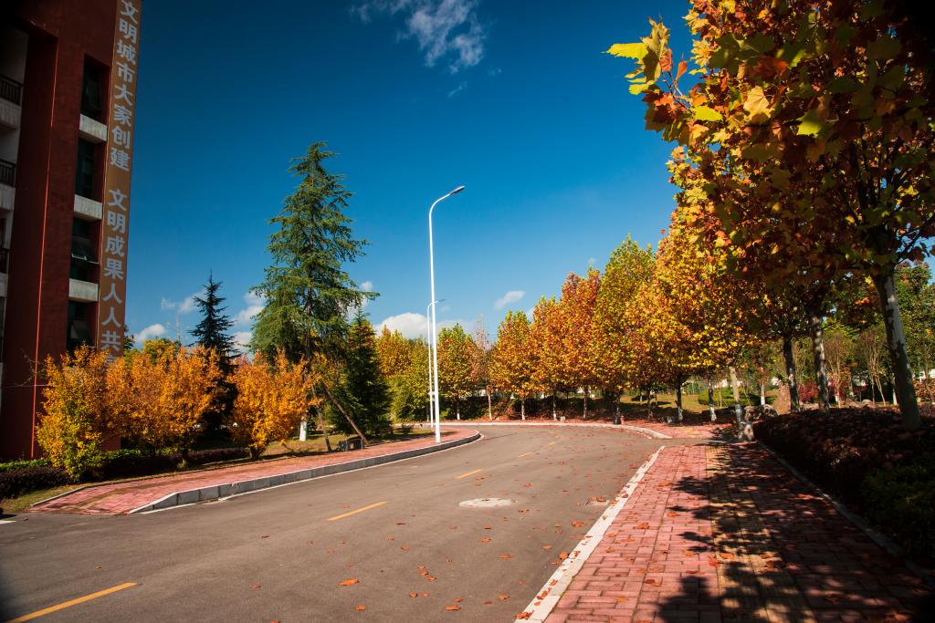 6B02B33CE64D664E4236DE7F2C3_4A143F67_2268A