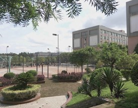 687ab6336364f7ffae9da59847c8e93a_275_216