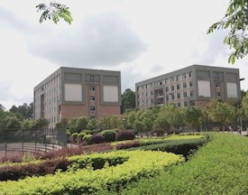 90a05271a627e8ead542e385b9082388_275_216