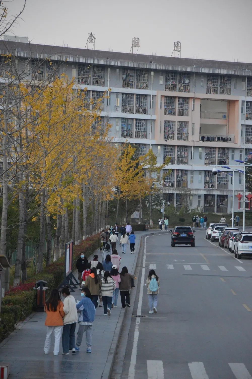 微信图片_20230309113624