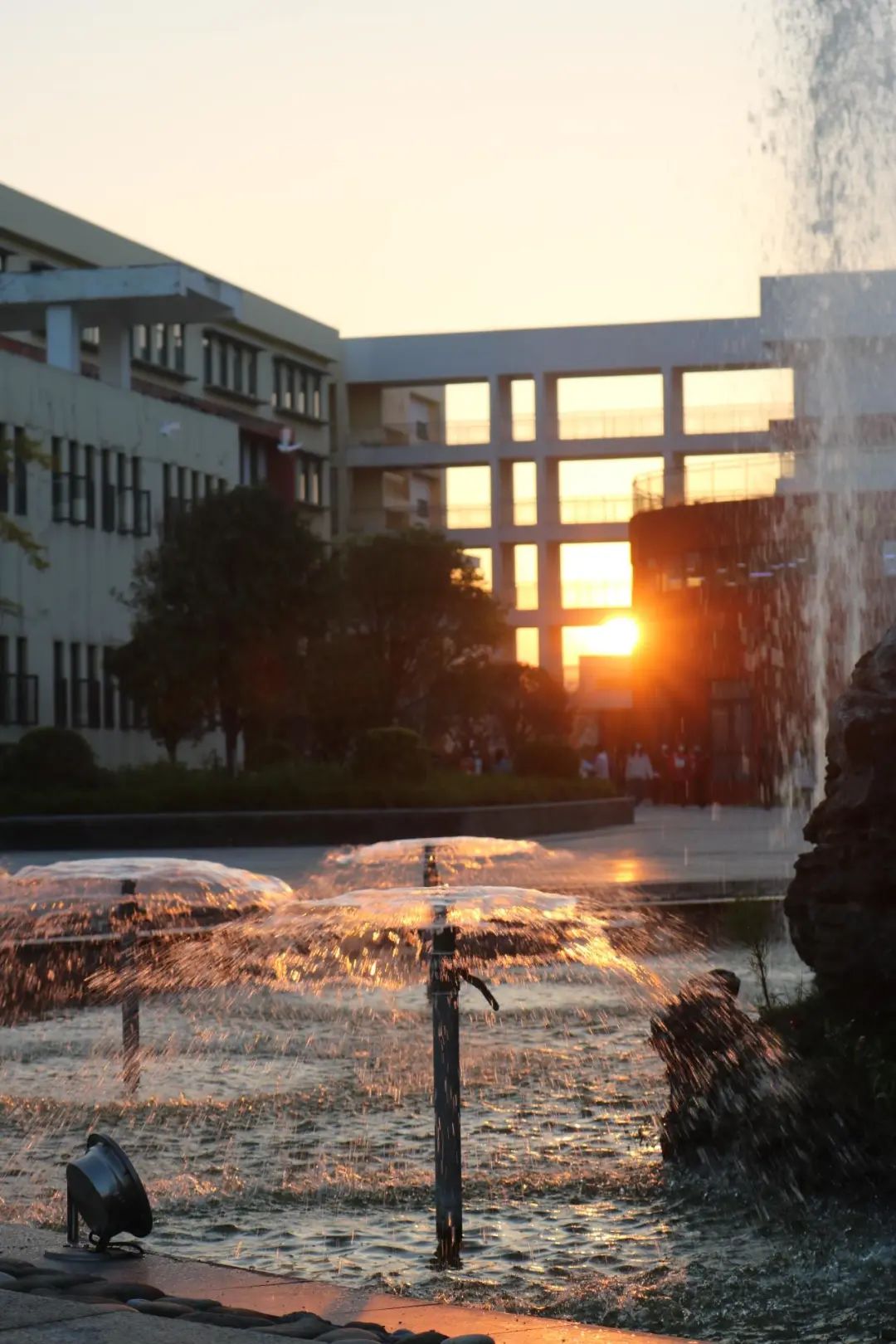 微信图片_20230309113655