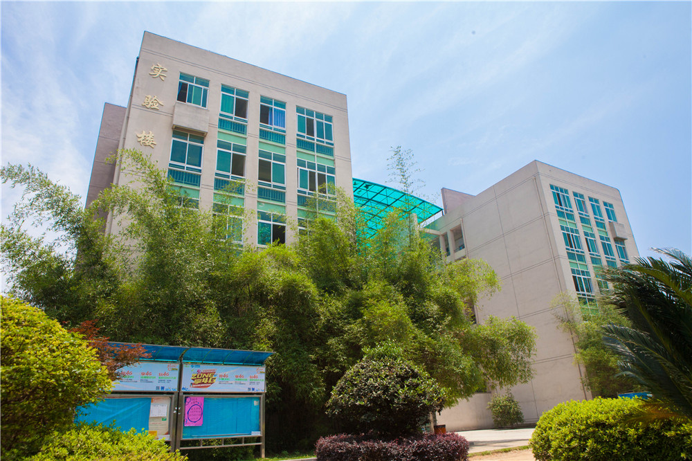 20180611183827659321