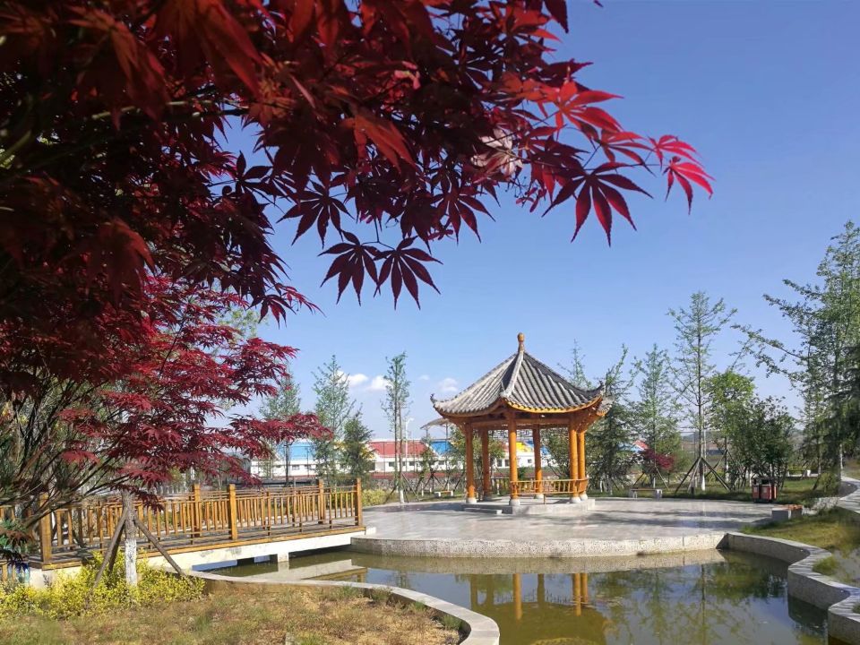 1f9d88606ae313d6529abe0fc7cd33d8