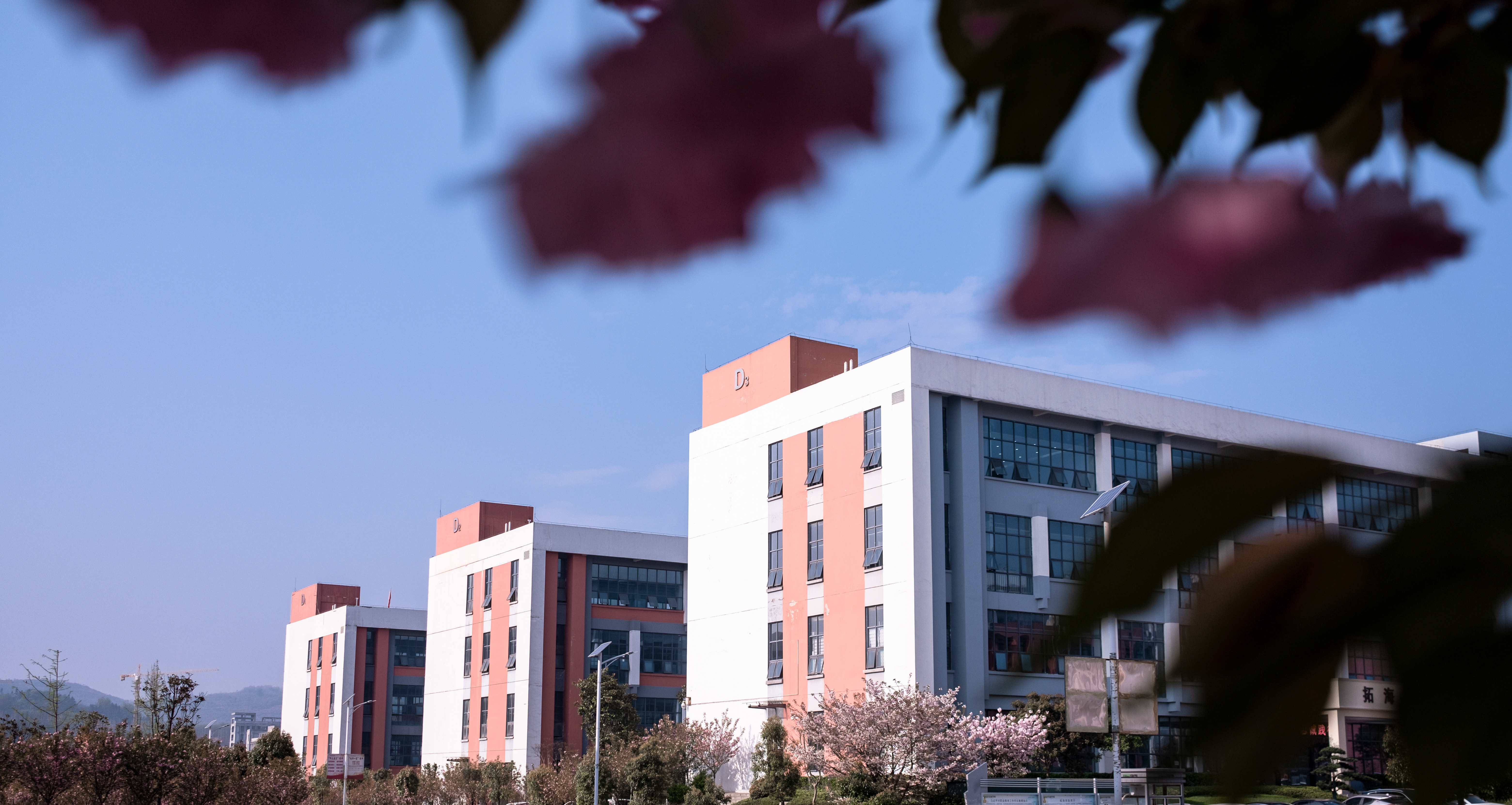 微信图片_20230301162138