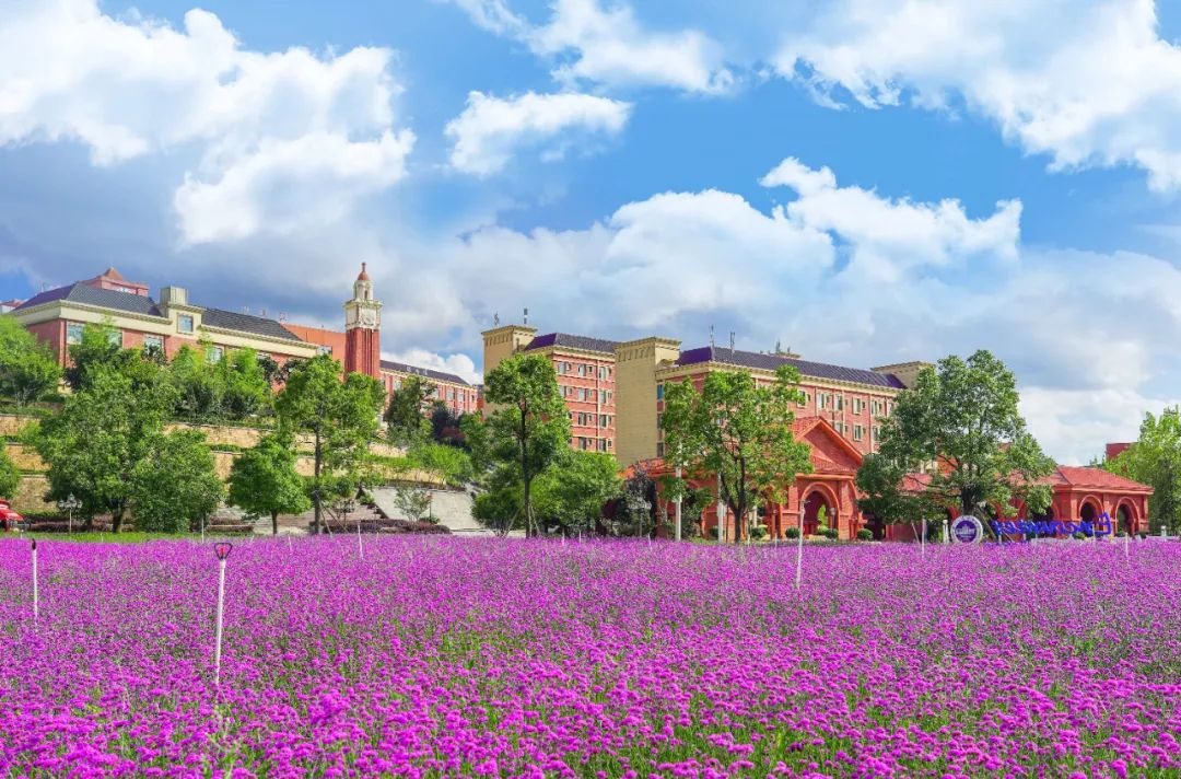 微信图片_20230302163849