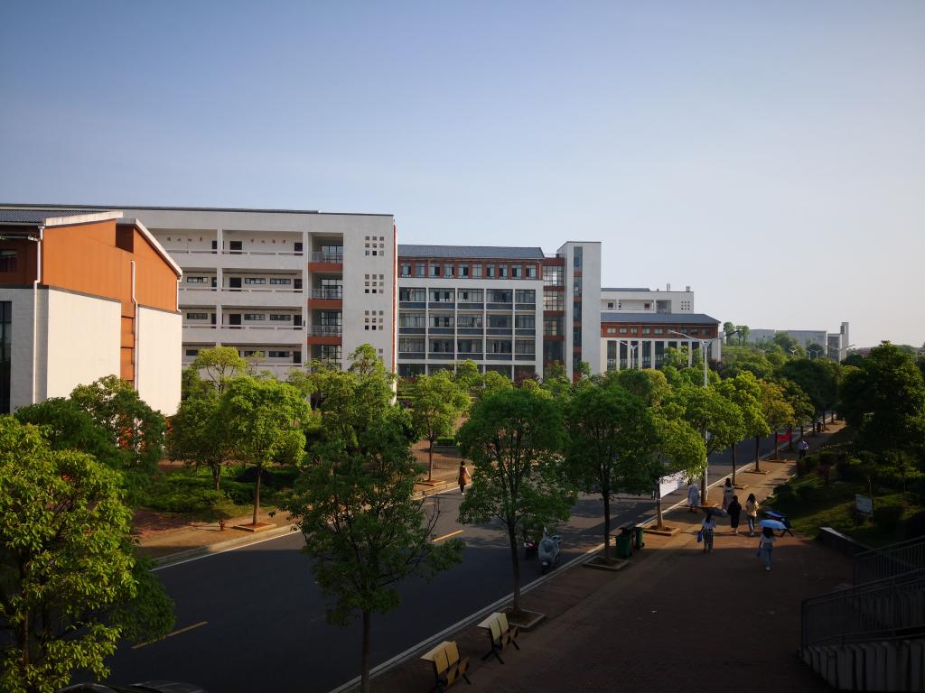 6B344F95146ED3687BD535DB3F1_3CF445AB_1877D