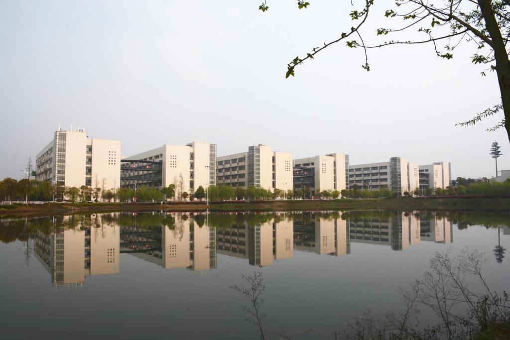 A2FD3BB337269BC67C786DFB491_A1D48945_11832