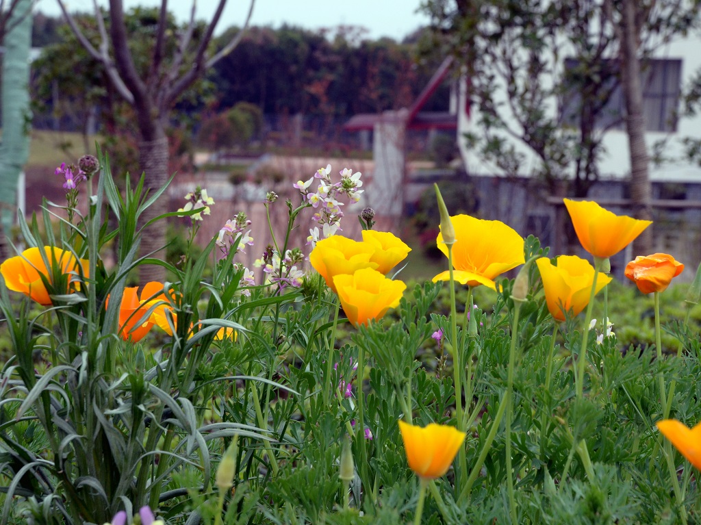 C7FAD1446F53C60E3AA2144B79B_00E9ADD2_5776C