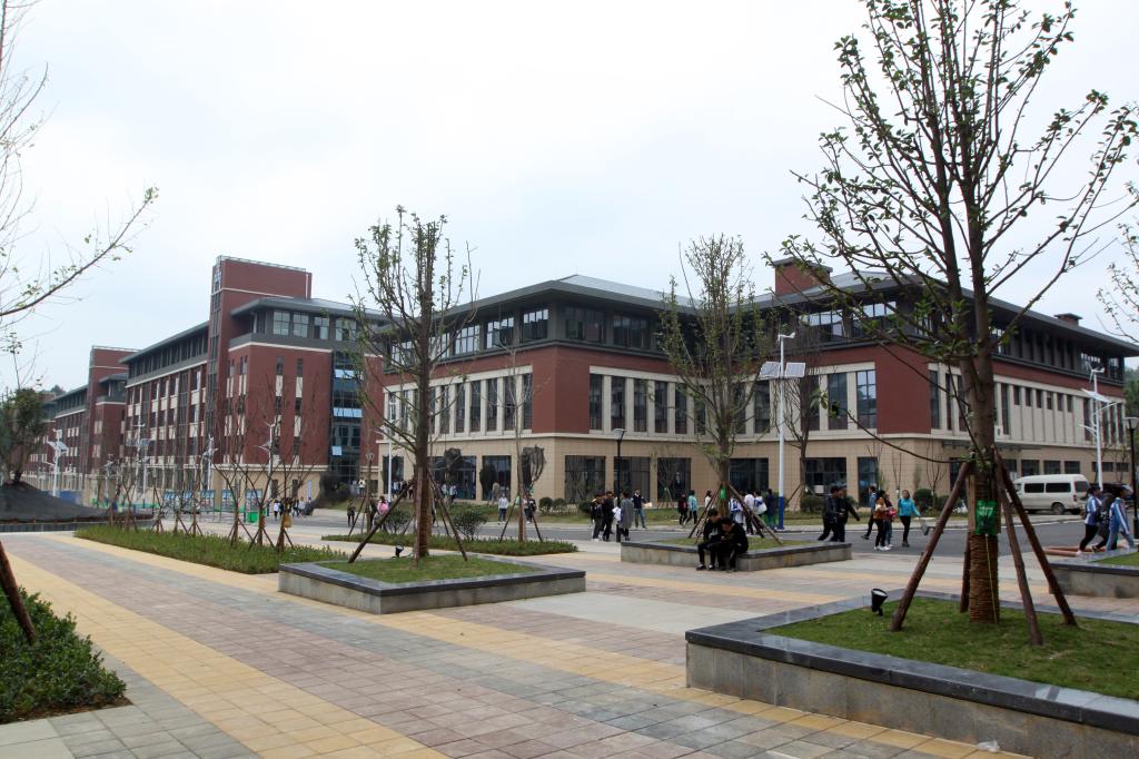 04FE99E5CCF2733AEAF9F364689_E033E6FF_1EA01