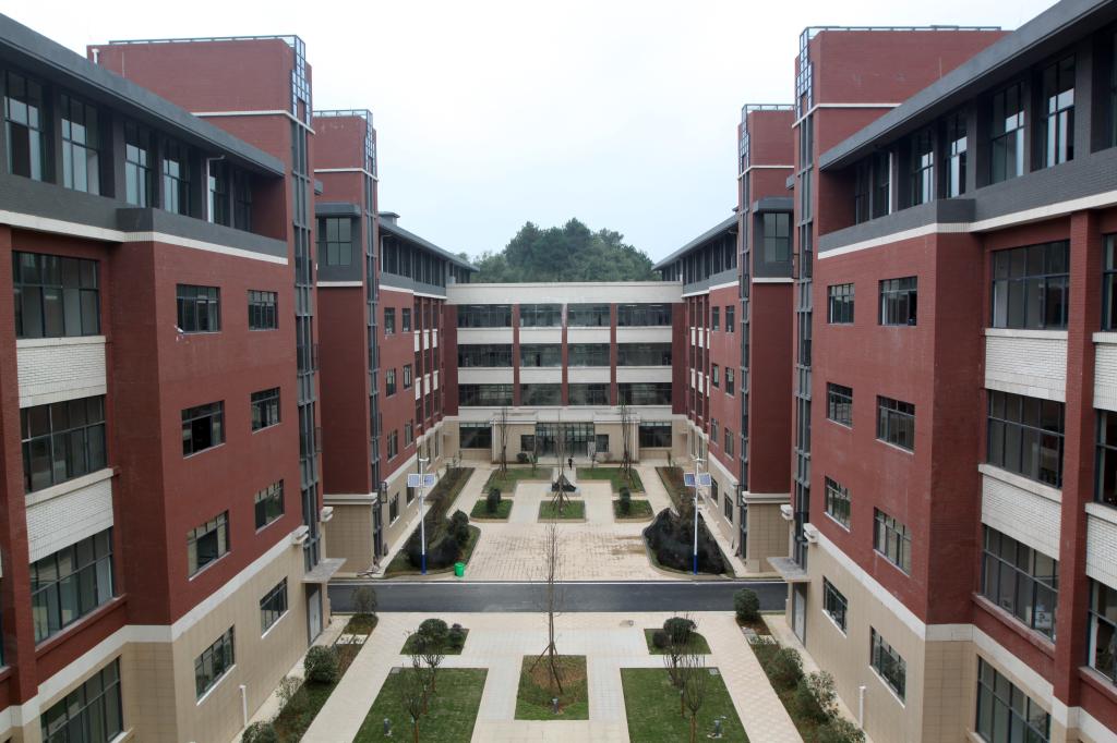 F6378BE9DBA4D7674FC9734F655_D598F6A5_187B9