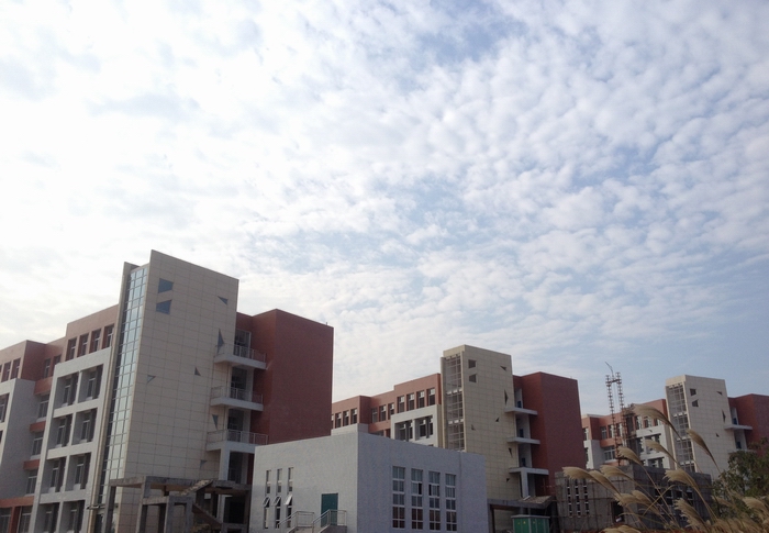 F19F5029D47715153AABAD073C8_DAE2310E_335AD