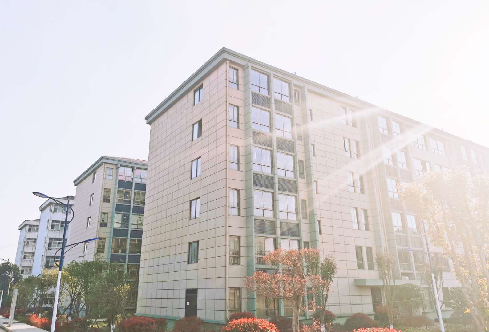 f6288bb4ed037975c668969bdab6bcbc