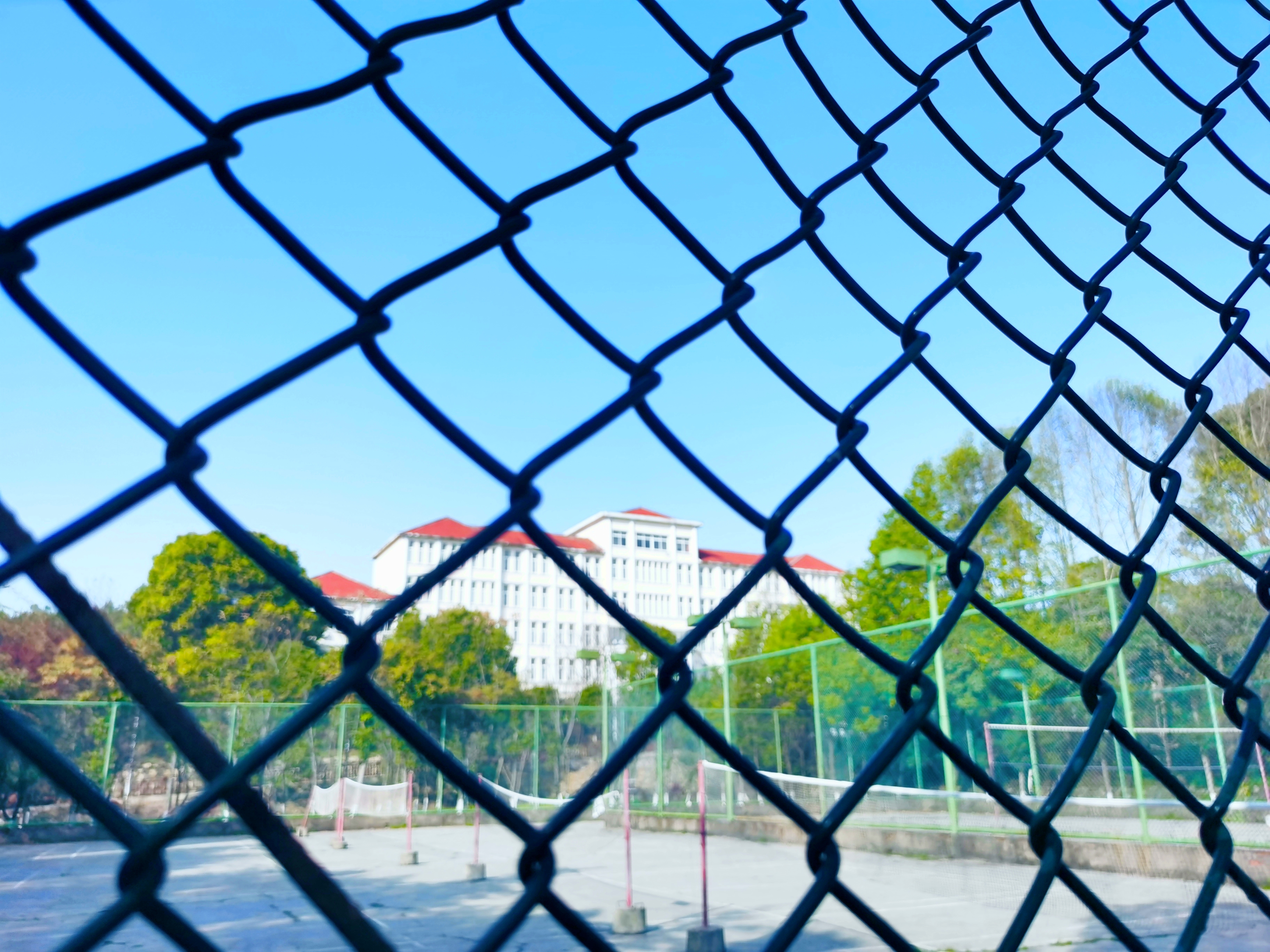 597d35509398ad8e06c1b54b7d7e413f