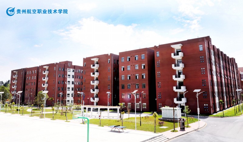 c011af7b3a66f26d1ba115210e61782e