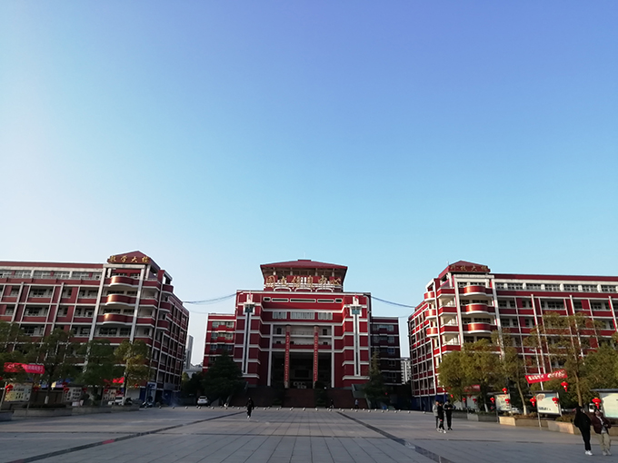 202105311624538254398