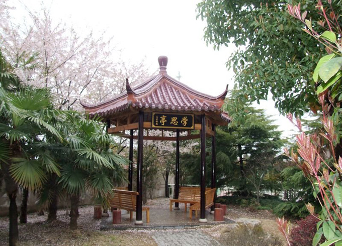 202105261025413195121