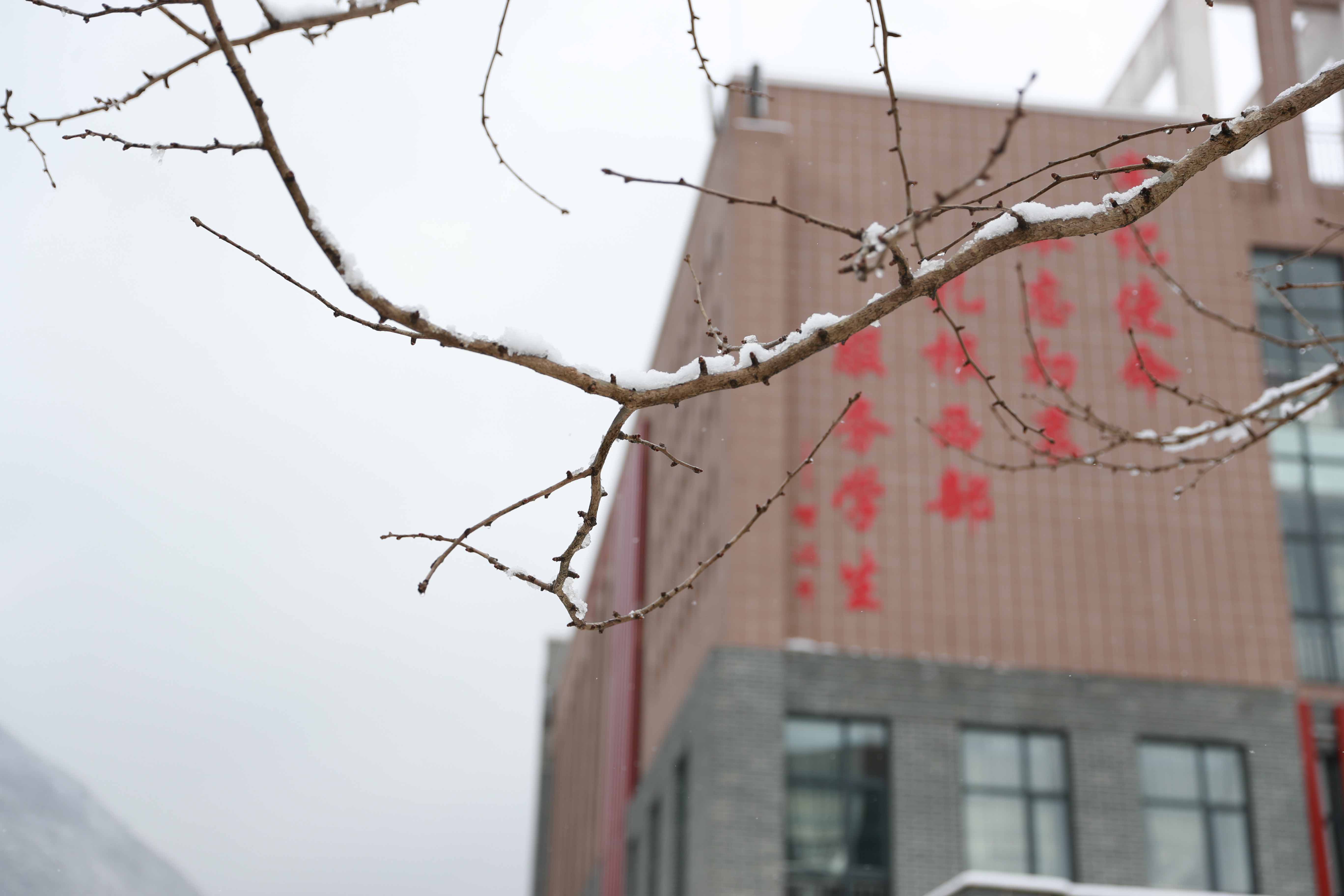 069915DBE0B28E4A8DE8529EFD985FA1DE11