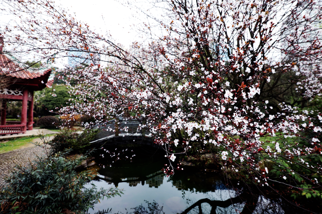 微信图片_20230304135523