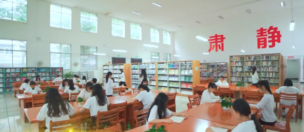 82d8dd04-cfb6-4ff2-81cc-cd9e008082ff