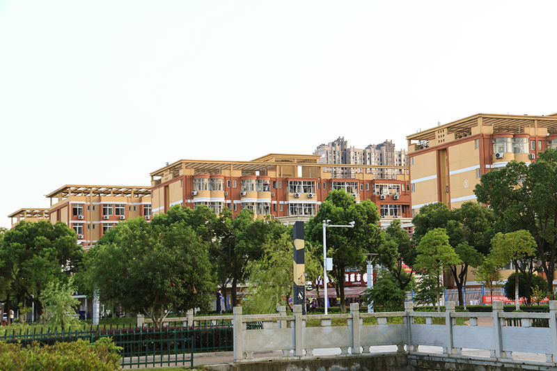 03545b36f9c3702dd8df1a6bda26_810db2a3_6862a0