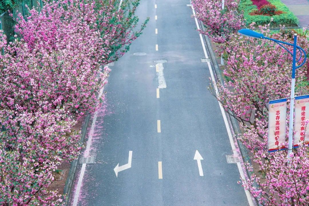 微信图片_20230304145920