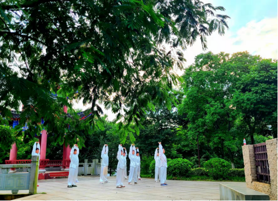 8830659423CA1CE900E1B9F372D_39DF8400_D87BB