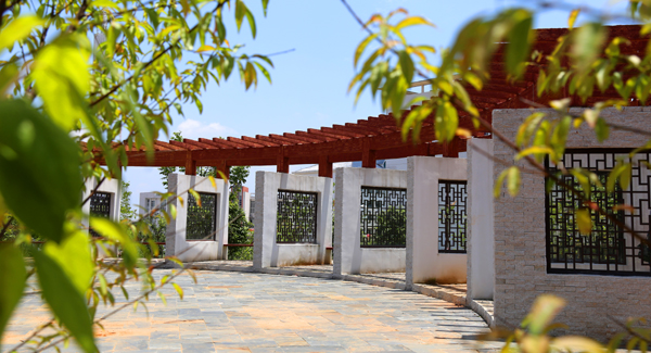 8C0F0A1AAAFC530380162D9B212_49D84E84_3CCBD