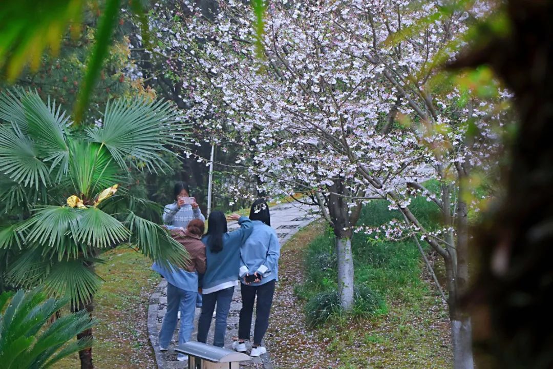 0F25C04E43C9031AB739E98C9FB_5F0AF684_32F0A