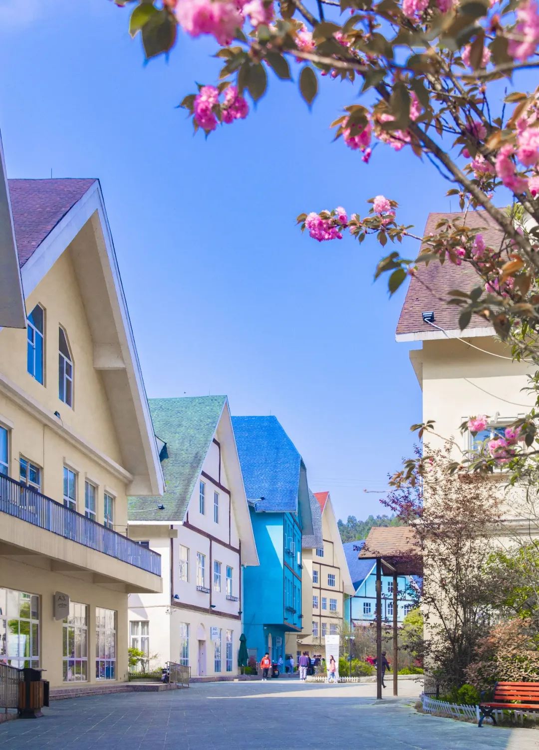 微信图片_20230304171310