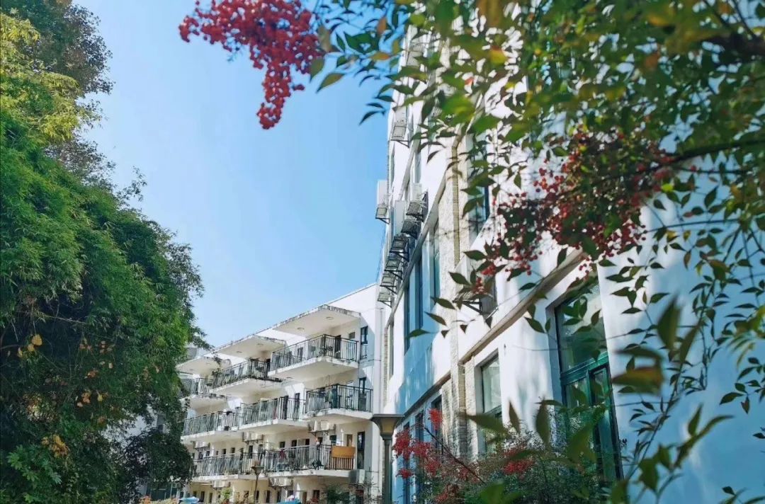 微信图片_20230304171315