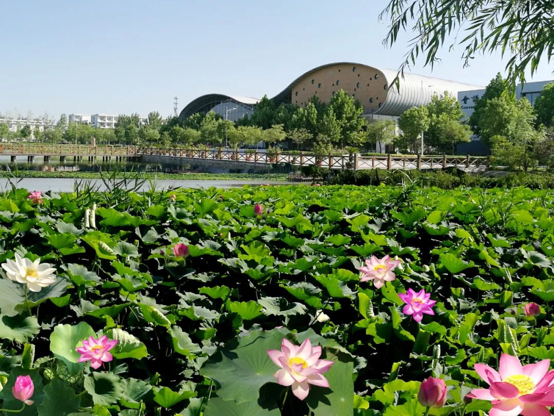 微信图片_20230323115222