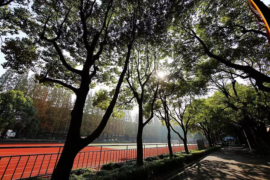 微信图片_202303241638142