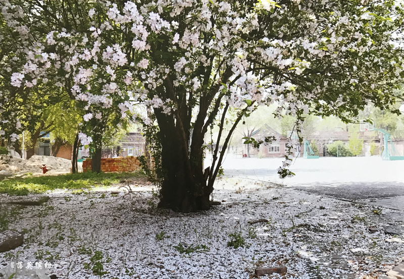 2DD2623F474AB540816A9E4EE67_31FC53B3_FE1BA