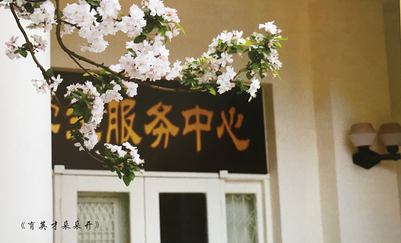 60D8730F2A9E66535F7DBB16834_E558D411_930A7