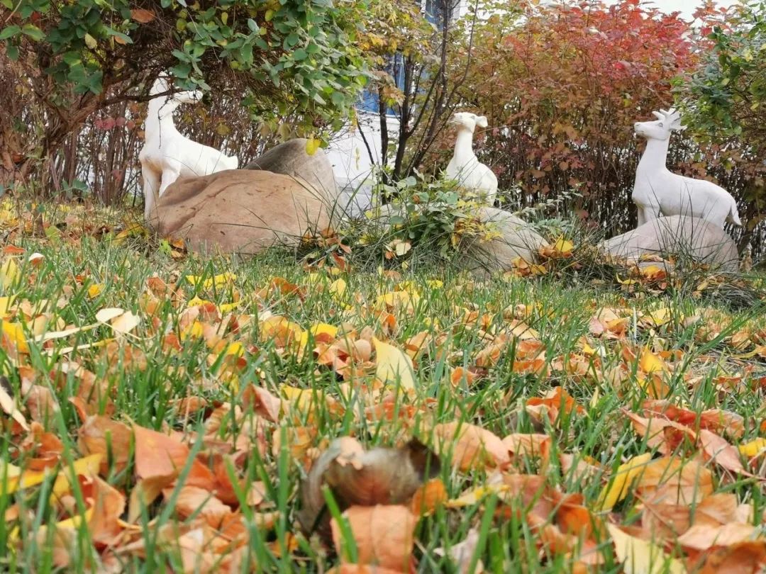 微信图片_20230327164049