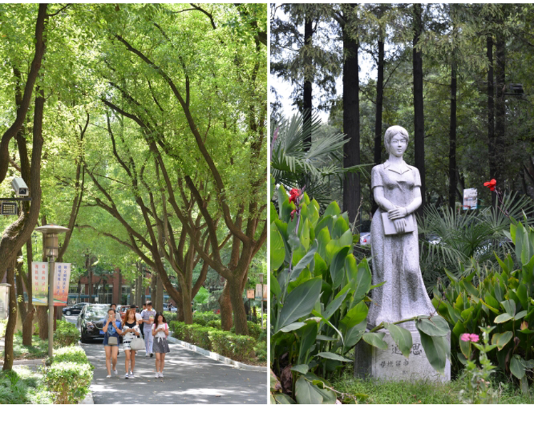 c33a3cae-74bc-409b-88ec-83393727fda3