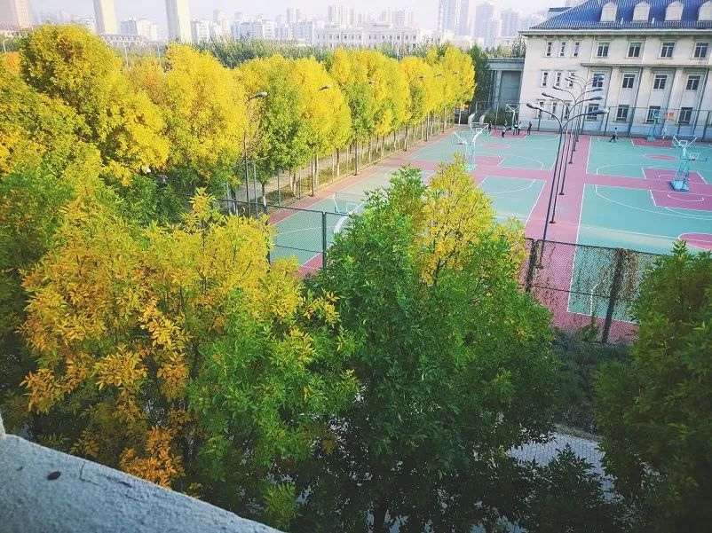 微信图片_20230329100815