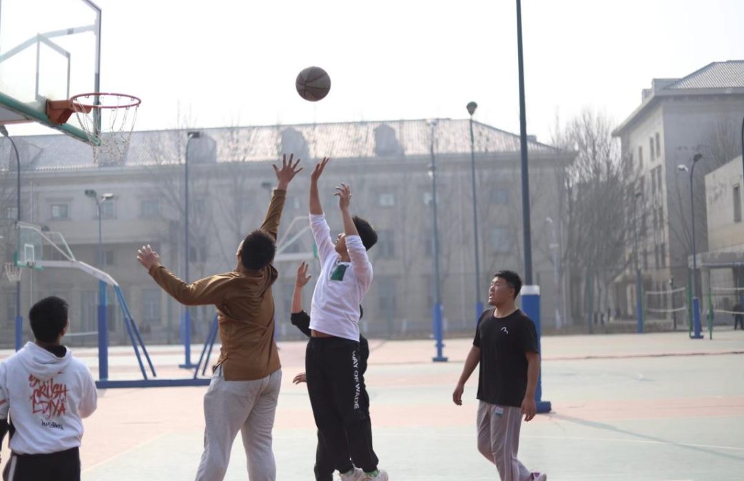 微信图片_20230329100639