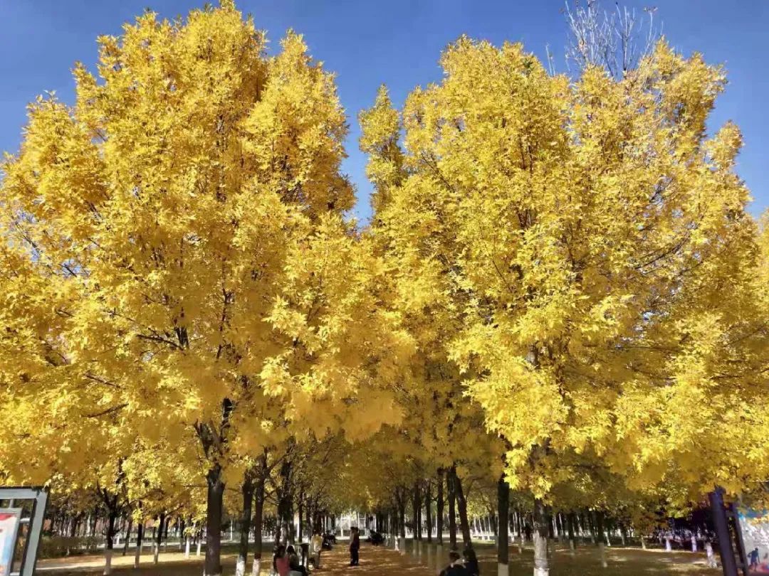 微信图片_20230329100720