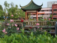 1257d1f83d9d3cea79c34863883b2c77